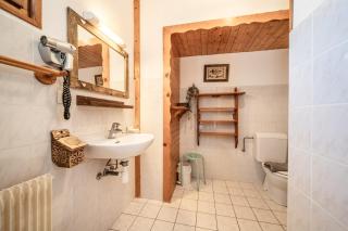 Gand chalet montagne 30 personnes - Bernex - 2