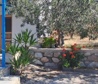 Syros Mandala Studio - 4