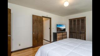 Sunshine Daydream · Sunshine Daydream in Pisgah Forest Area - 1