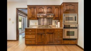 Sunshine Daydream · Sunshine Daydream in Pisgah Forest Area - 3