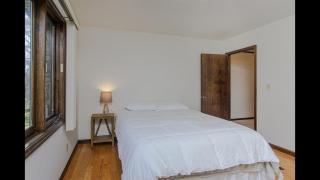 Sunshine Daydream · Sunshine Daydream in Pisgah Forest Area - 2