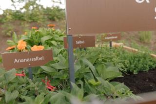 Ferienwohnung Wies Wieserhof - 6