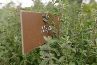 Ferienwohnung Wies Wieserhof - 2