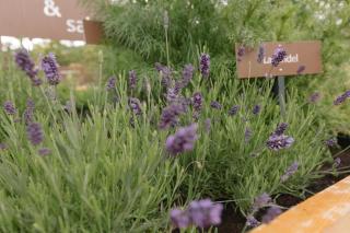 Ferienwohnung Wies Wieserhof - 1