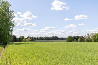 Ferienwohnung am Bloschk - 4