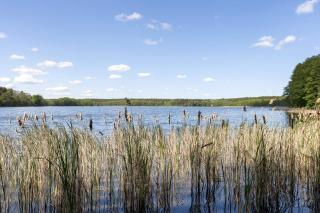 Ferienwohnung am Bloschk - 3