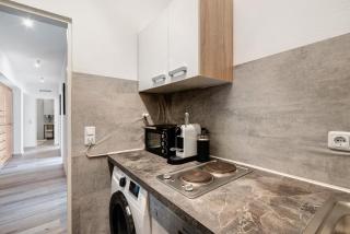 3 Zimmer Whg Schwanthalerhöhe - 1