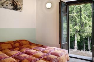 Arnica Tano di Grich - Cesani - 2