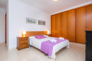 La Vinya del Beato 1950 - 6