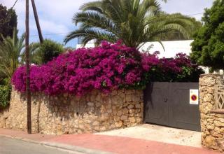 Holiday villa for rent in Tarragona - Tarragona - 6
