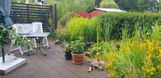 Urgemütliches Bungalow am See - 5