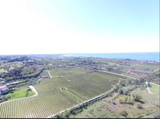 Trilocale colline di Bardolino - 4