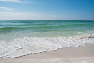 Heights House Upscale Retreat Close to Dwntwn & Beach - 5