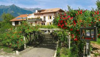 Stöckerhof Apartment Herz - Merano - 2