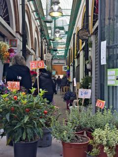 Amplio apartamento con Parking Centro Histórico - Sevilla - 8
