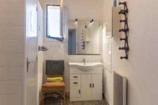 Micocoulier de la Maréchale - 2