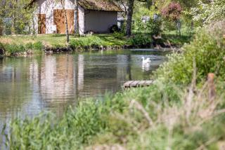 Haus an der Lauchert - 6