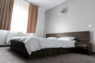 Pensiunea Elizabeta Leordina - 7