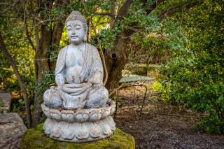 Domaine de l'Enclos - Lavande - 3