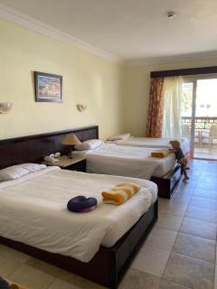 Hilton Nile - 6