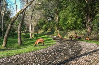 L'Annexe du Petit Echo de la mode - Plélo - 5