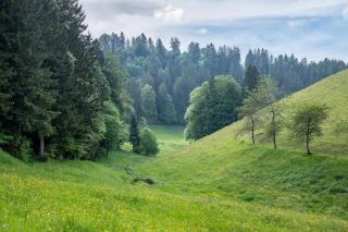Schreinerhäusle nähe Titisee - 6