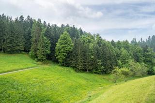 Schreinerhäusle nähe Titisee - 1
