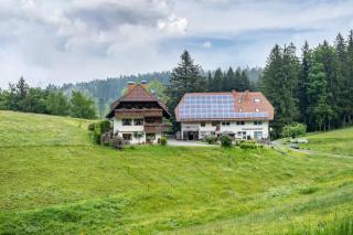 Schreinerhäusle nähe Titisee - 3