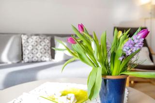 Ferienwohnung Kappeln - Kiekut 11 - 7