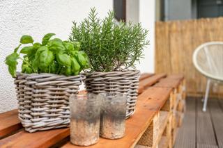 Zentrumsnahe Wohnung in Chemnitz - 6