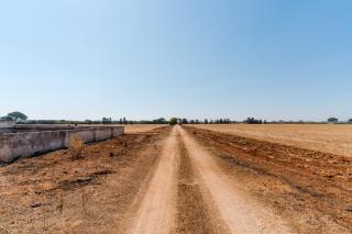 Masseria Delle Api - 3