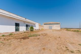 Masseria Delle Api - 5