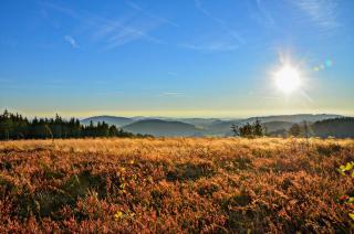 Fewo Willingenliebe Meinecardplus - 3