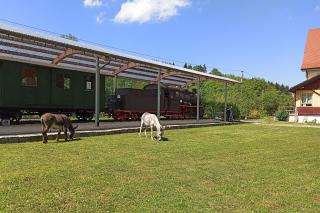 Bahnhof Durlesbach - 5
