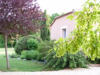 La Chambre aux Oiseaux - 1