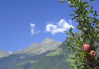 Texelblick Rainegg - Schenna - 5