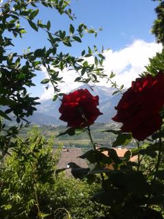 Texelblick Rainegg - Schenna - 4