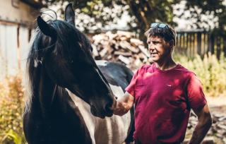 Domaine La Ville Suzanne - Gîtes - 5