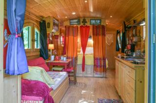 Roulotte de bohême - Praline -  - 6