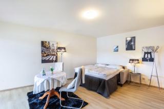 Rheinapartment Dependance 8 - 6