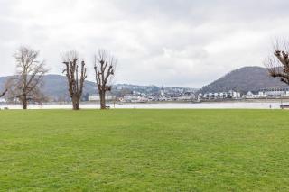 Rheinapartment Dependance 8 - 4