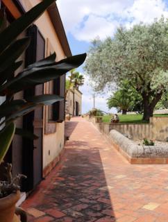 Oasi di relax - 6