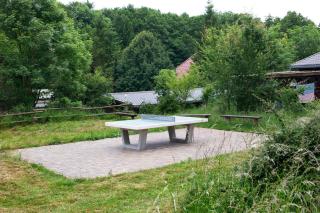 Krüseliner Mühle - Bungalow Rethra - 4