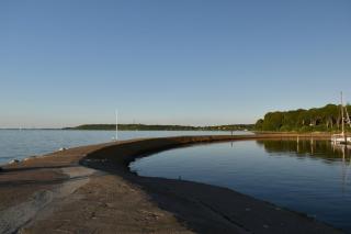 Möwennest am Twedter Holz - 9