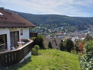 Ferienwohnung Panoramablick - 7