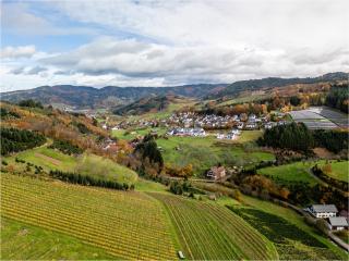 Ferienwohnung Steinhof - Oberkirch - 4