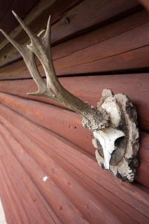 Blockhaus Quellental - 1