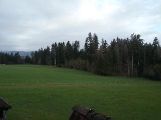 Haus Biggi - Ferienwohnung Hochgrat - 7