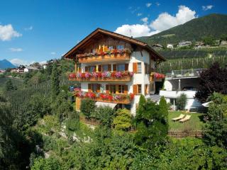 Hahnenkamm Rainegg - Scena - 3