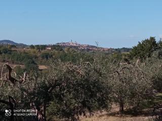 Casa di Campagna - 9